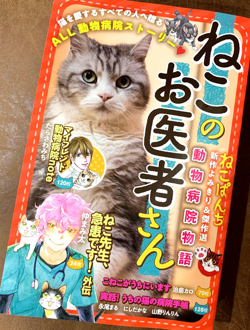 ねこのお医者さん 家じゃ出来ない 山野りんりんの近況ブログ ねこのお医者さん 家じゃ出来ない 山野りんりんの近況ブログ