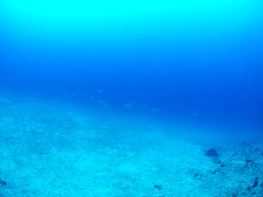 真冬とは思えない最高の海日和♪_a0189838_10301344.jpg