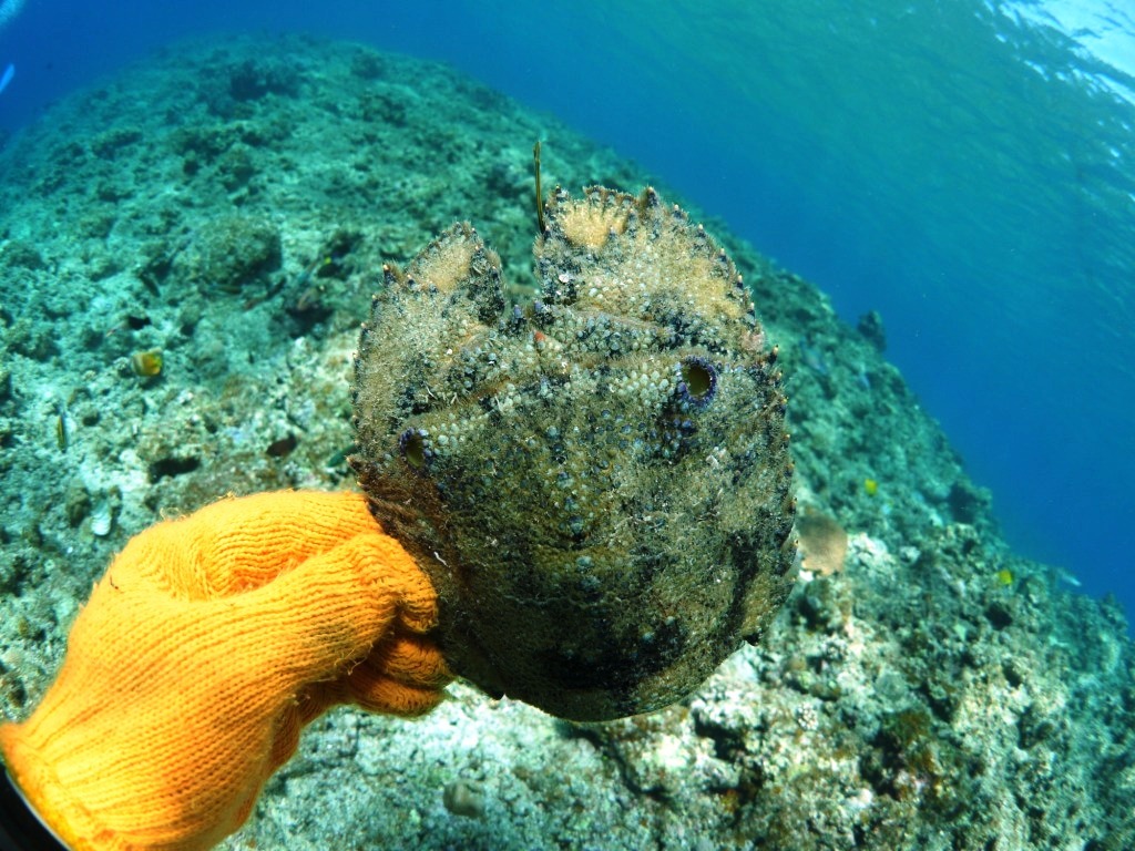 真冬とは思えない最高の海日和♪_a0189838_10310946.jpg
