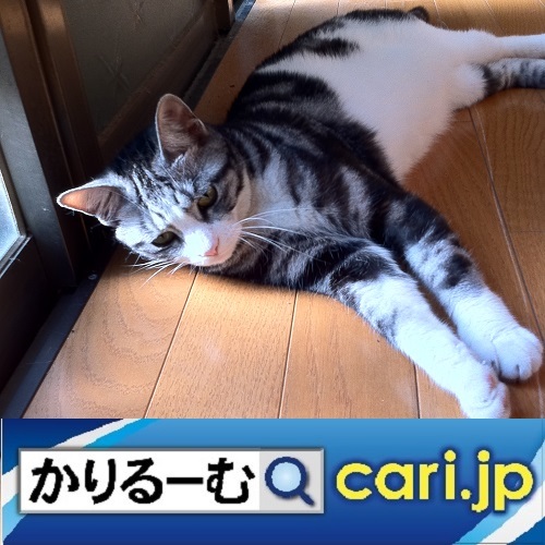 2021年1月分 広報・記事等_a0392441_08225450.jpg