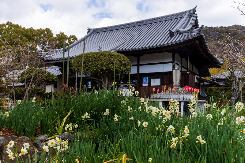 冬の花咲く恵心院_f0155048_23512230.jpg