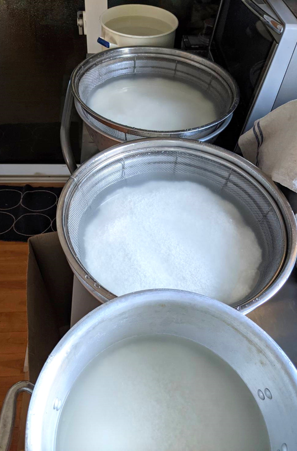 自宅で味噌作り2021～米麹を仕込む～_c0110869_13160042.jpg