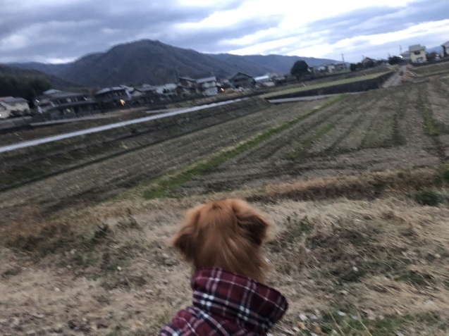 2月。_a0394574_20563161.jpeg