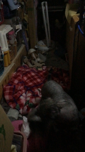 遠足_c0120375_23120248.jpg