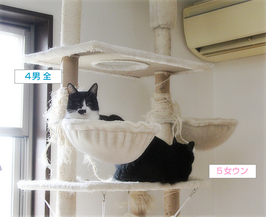 灯油がない!_a0389088_11575733.jpg