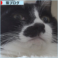 灯油がない!_a0389088_11575802.jpg