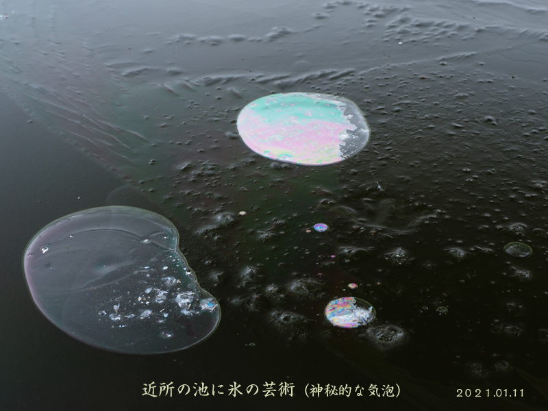 氷の気泡_e0039703_22435113.jpg