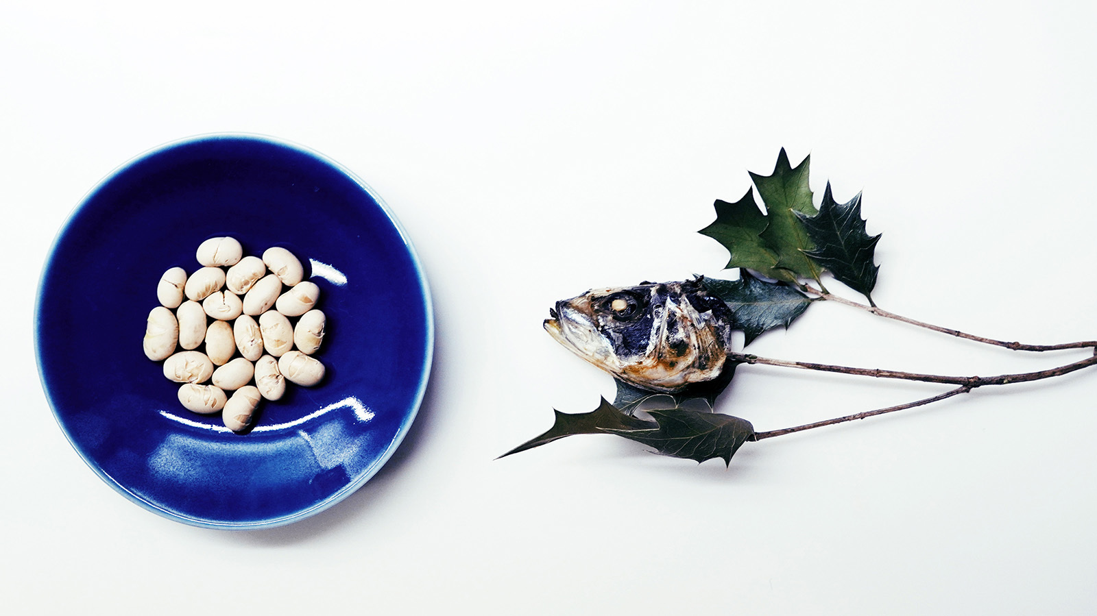 柊鰯 ミカンセーキ