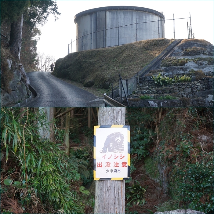 大宰府周辺の梅鑑賞ウォーク・・・「六弁の梅」開花。_f0016066_04041325.jpg