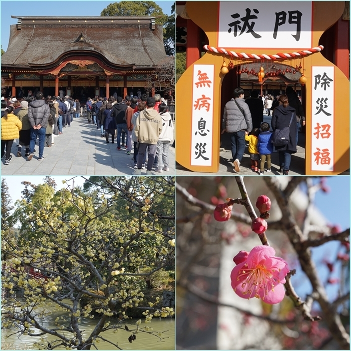 大宰府周辺の梅鑑賞ウォーク・・・「六弁の梅」開花。_f0016066_05035267.jpg