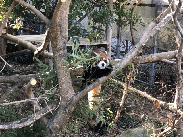 動物たちの食べ物の話_c0290504_14042997.jpg