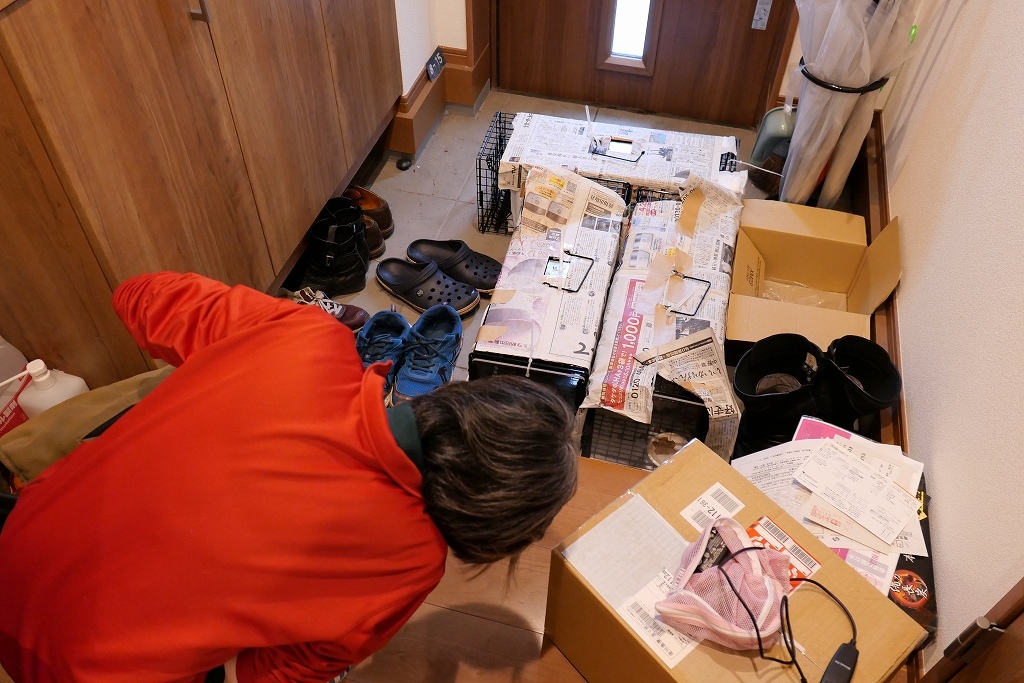 保護猫活動_f0050534_07454045.jpg