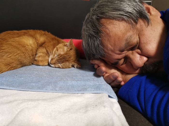 保護猫活動_f0050534_07462411.jpg