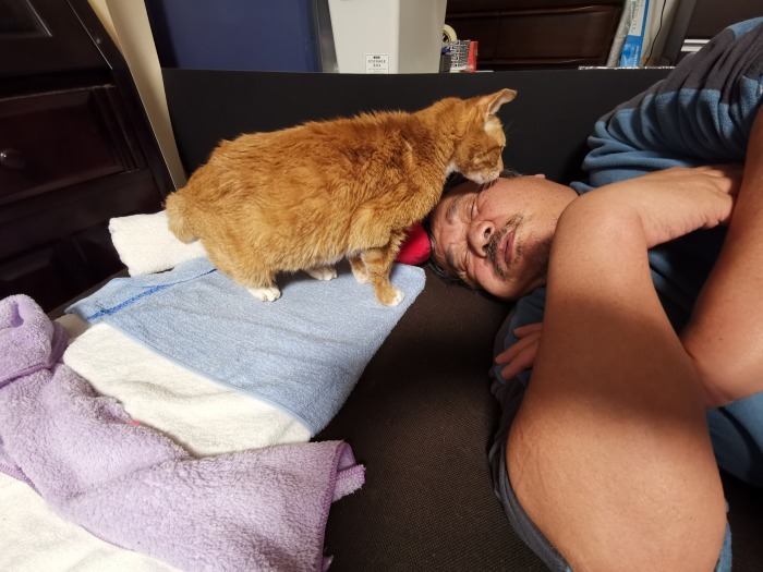 保護猫活動_f0050534_07491639.jpg