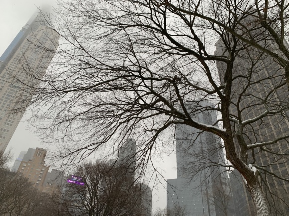 お誕生日と雪のNY❄️_a0150139_16511320.jpeg