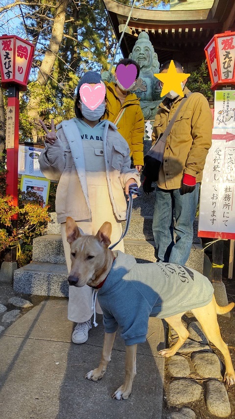 ぶん太くん ますますかっこよくなったね 13 Dogs