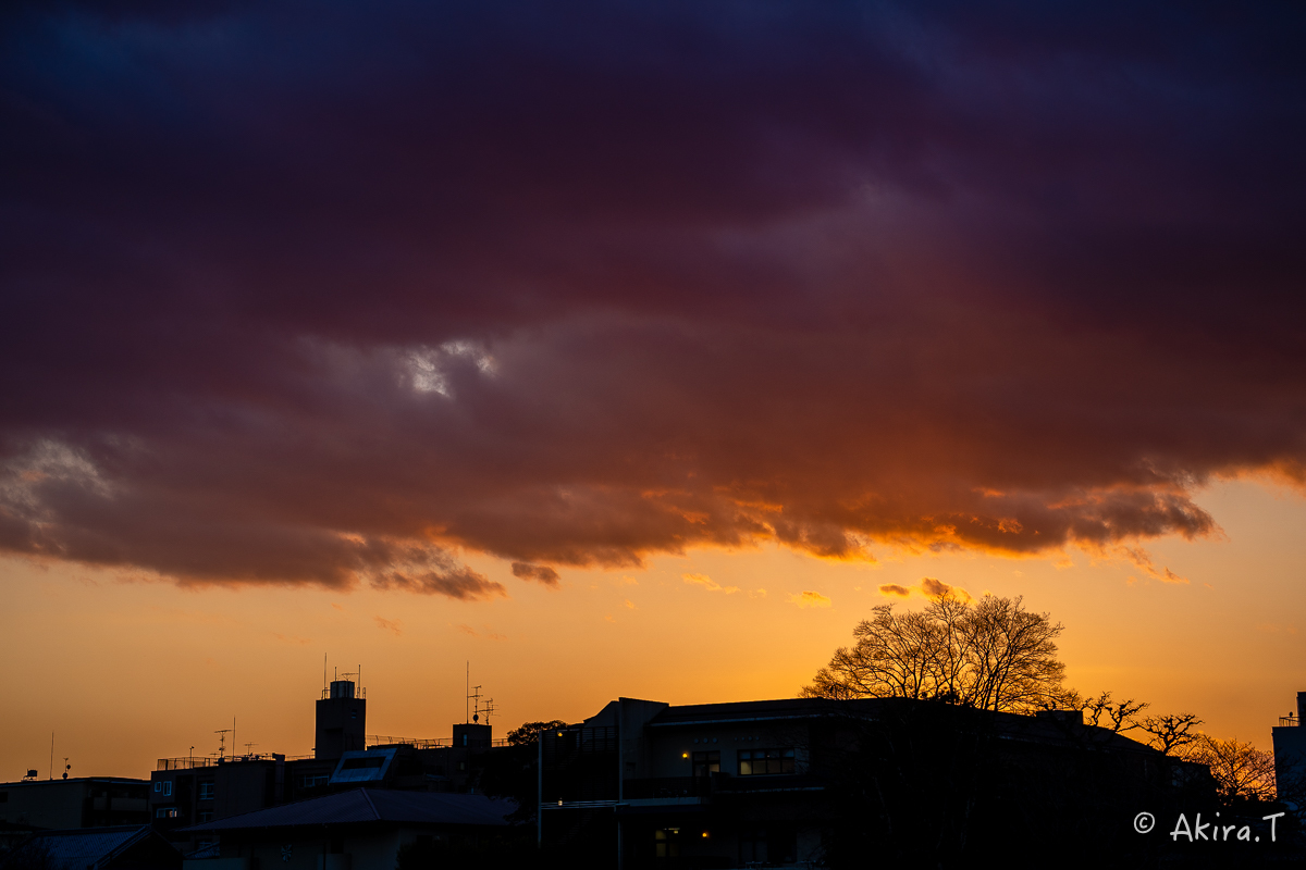 鴨川夕景_f0152550_18155548.jpg