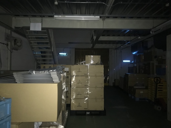 土の中にいても春の訪れを球根はよく知ってます_b0100062_08084232.jpeg