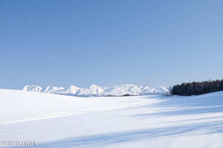 十勝岳連峰と雪原~1月の美瑛_d0340565_19274536.jpg