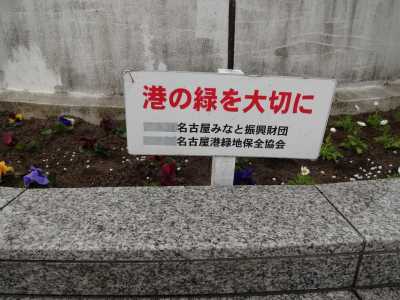 名古屋港水族館前花壇の植栽R3.2.3_d0338682_14411848.jpg