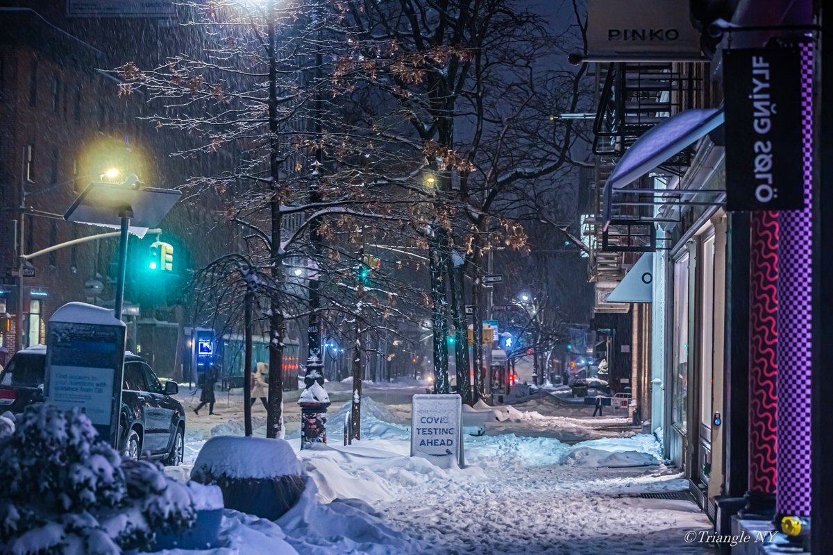 Snow Storm in New York City 2021(Feb1-Feb2) Vol.1_a0274805_01403403.jpg