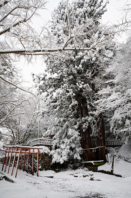 赤絵三段飾り 雪景色朝日 赤絵三段飾り 雪景色朝日 赤絵三段飾り 雪景