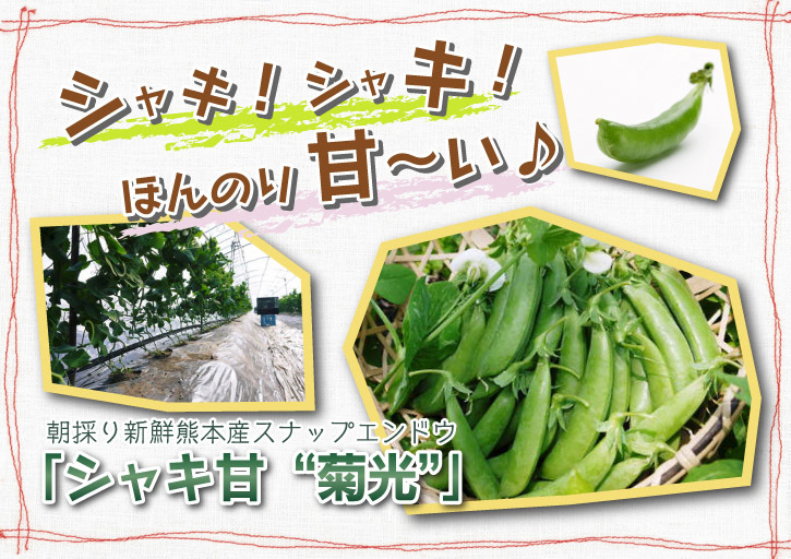 スナップエンドウ｢シャキ甘“菊光”｣大好評発売中！毎回の出荷数限定の為、早い者勝ちです！_a0254656_14320607.jpg