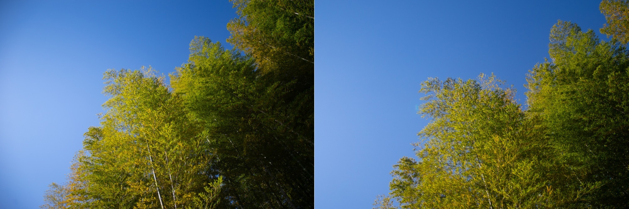 CANON ZOOM LENS EF 22－55㎜ f:4-5.6 USM でぶらり : 写真機