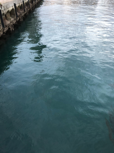水行(すいぎょう)_d0339676_10482115.jpg