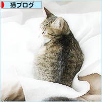 さらにリクエスト_a0389088_15355829.jpg