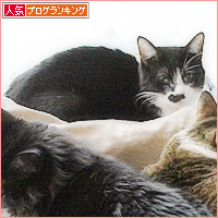 さらにリクエスト_a0389088_15355894.jpg