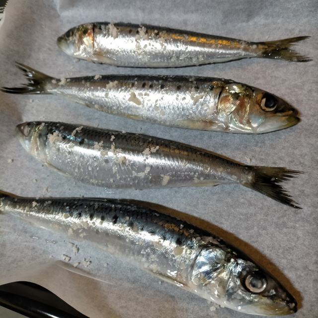 イワシをオーブンで塩焼き 線路マニアでアコースティックなギタリスト竹内いちろ 三重 四日市 イワシをオーブンで塩焼き 線路マニアでアコースティックなギタリスト竹内いちろ 三重 四日市