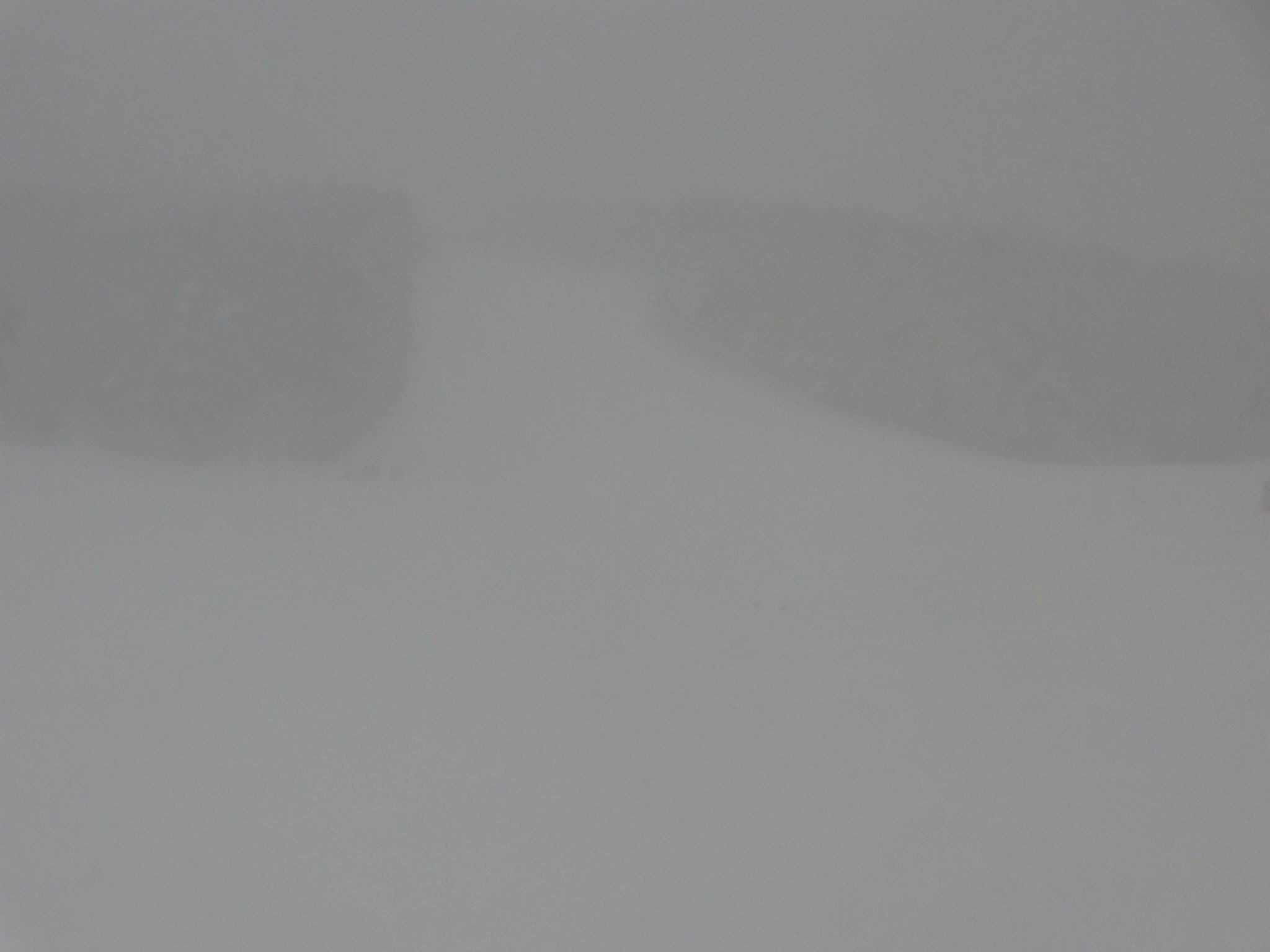 令和3年2月5日(木)天気/雪 気温/-7℃ 風/無 積雪/100㎝ 滑走可能_e0306207_08292715.jpg
