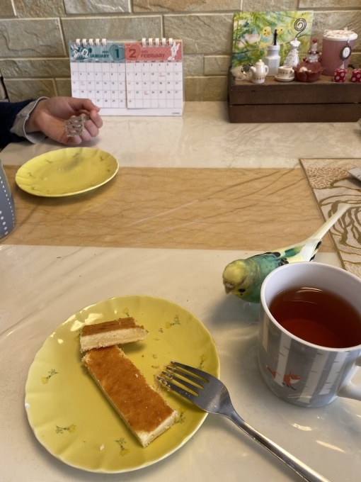 ピッコリもう8年_d0137112_21070461.jpeg