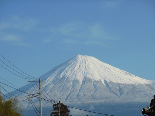 令和3年 初ブログ_e0238112_14374400.jpg