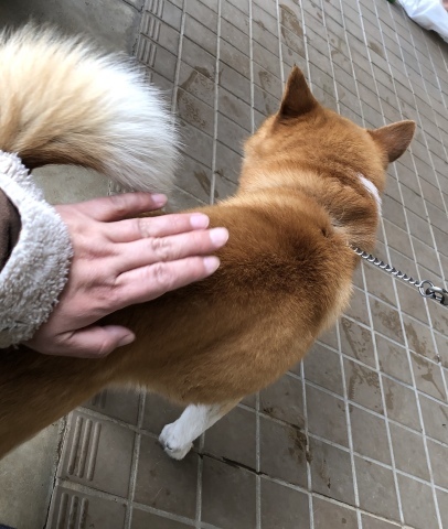 _f0078320_02360520.jpeg