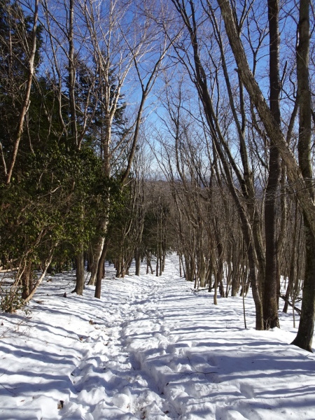 雪の大持山・小持山・武甲山周回。_a0138134_22105428.jpeg