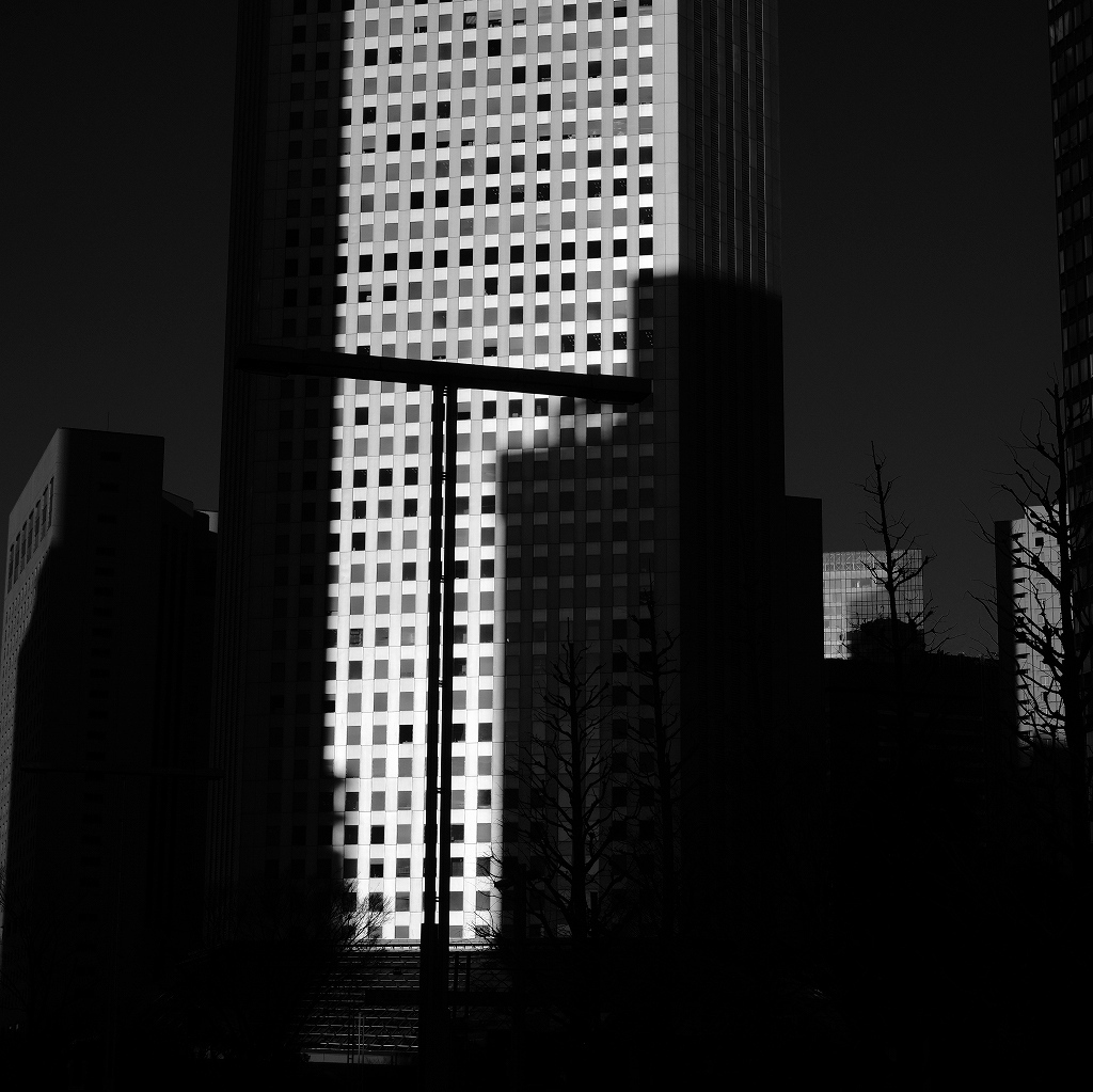 都心の光_f0050534_23425672.jpg
