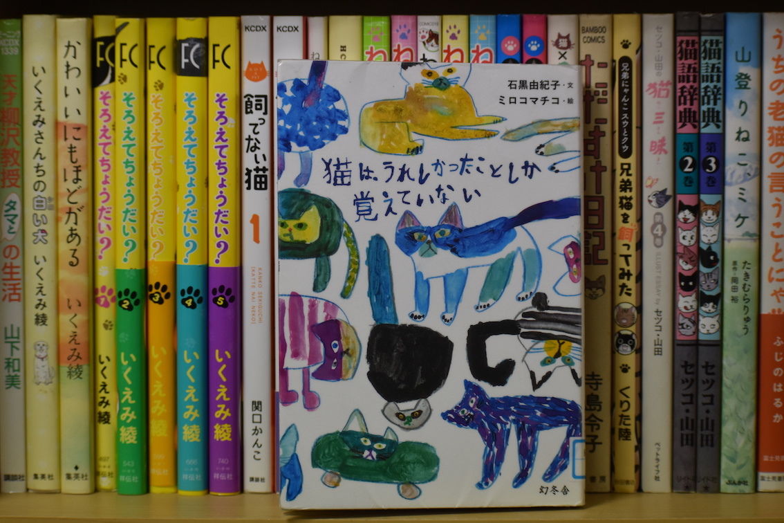 猫はうれしかったことしか 駄猫と本の部屋 ぶらん亭 猫はうれしかったことしか 駄猫と本の部屋 ぶらん亭