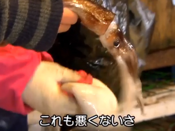 【コラム】パスタ ~恋が出来るまで~(韓国の市場の風景)_c0152767_22382827.jpg