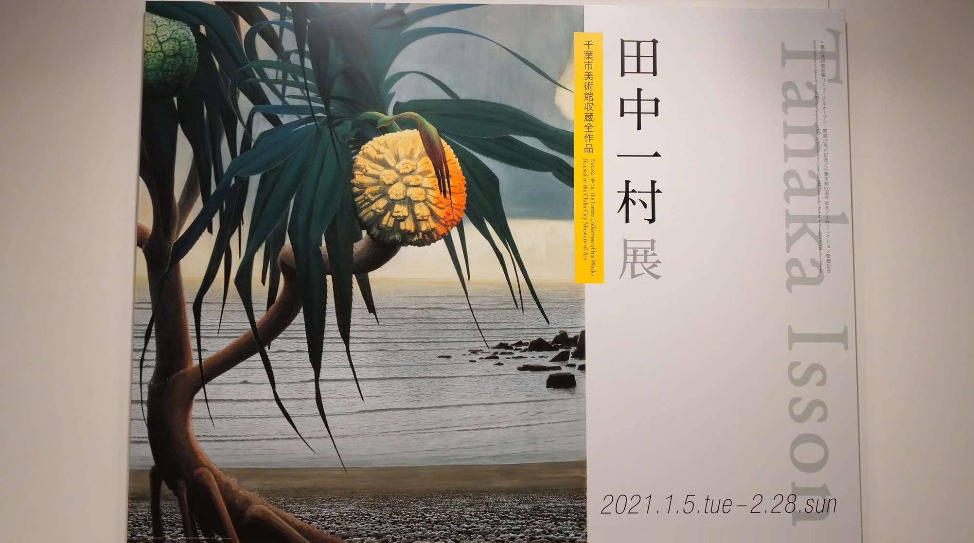 田中一村展 ―千葉市美術館収蔵全作品にて≪「アダンの海辺」≫にDiveする_c0002171_15173825.jpg