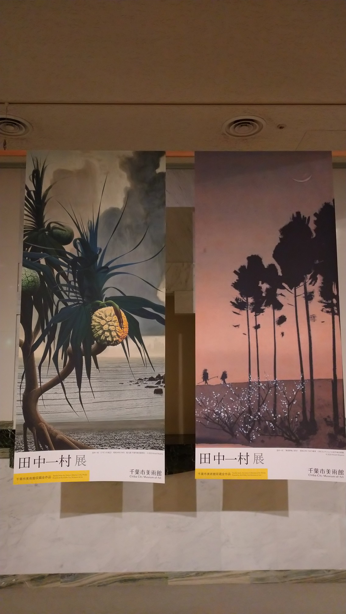 田中一村展 ―千葉市美術館収蔵全作品にて≪「アダンの海辺」≫にDiveする_c0002171_15180059.jpg