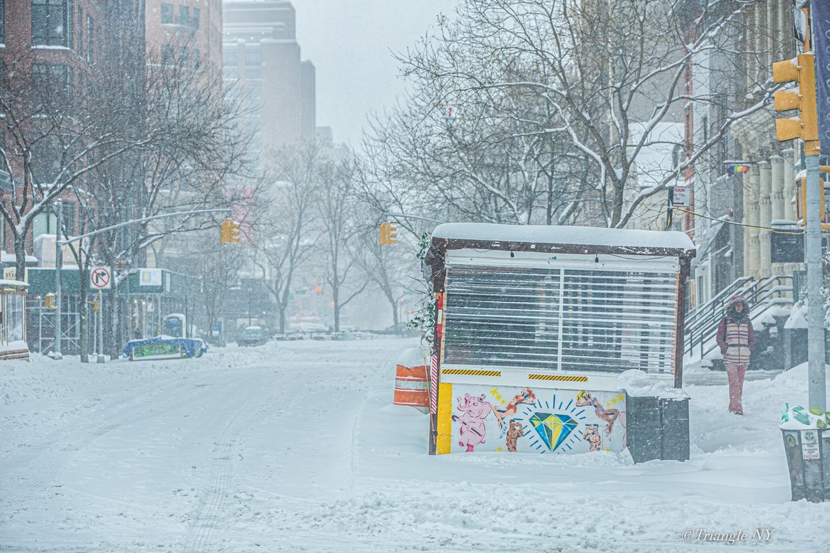 Snow Storm in New York City 2021(Feb1-Feb2) Vol.3_a0274805_11562984.jpg