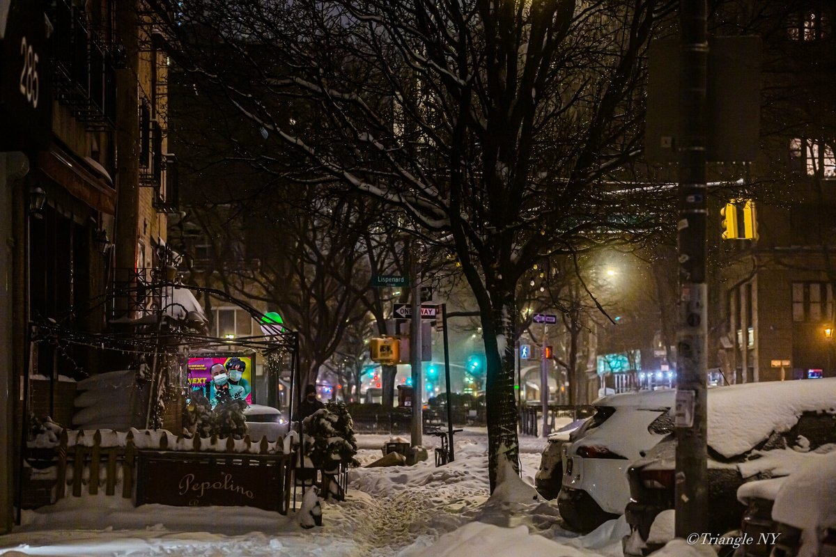 Snow Storm in New York City 2021(Feb1-Feb2) Vol.3_a0274805_11571895.jpg