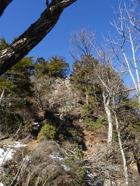 雪の大持山・小持山・武甲山周回。_a0138134_11432993.jpeg