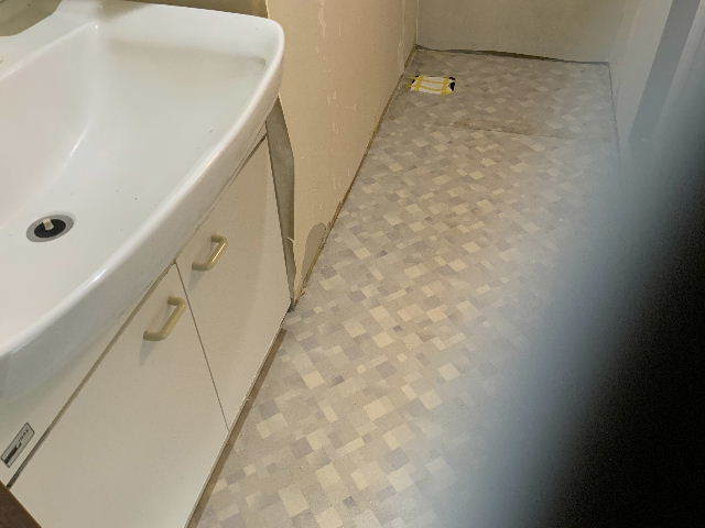 DIY 超絶大家さんと打ち合わせ_f0031037_19342464.jpg