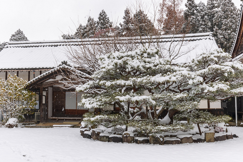 雪の滋賀2021　百済寺・庭園編_f0155048_00031844.jpg