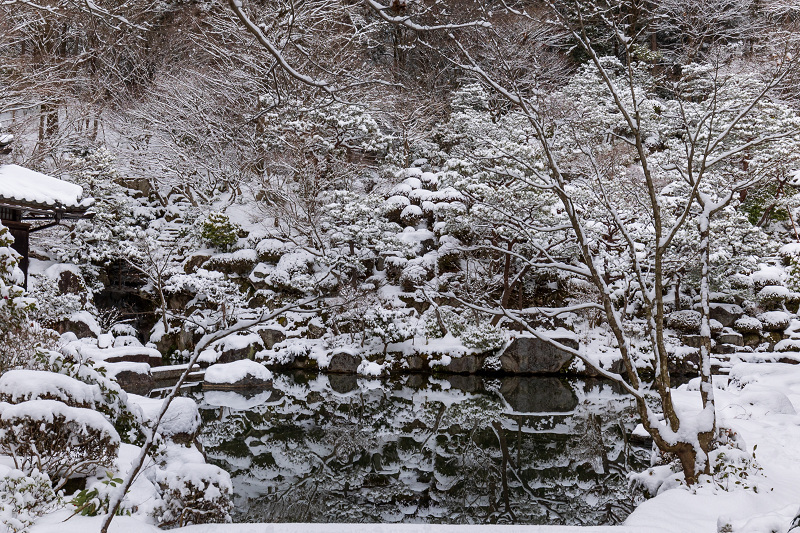 雪の滋賀2021　百済寺・庭園編_f0155048_00074319.jpg