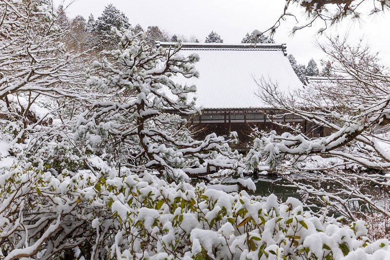 雪の滋賀2021　百済寺・庭園編_f0155048_00082421.jpg