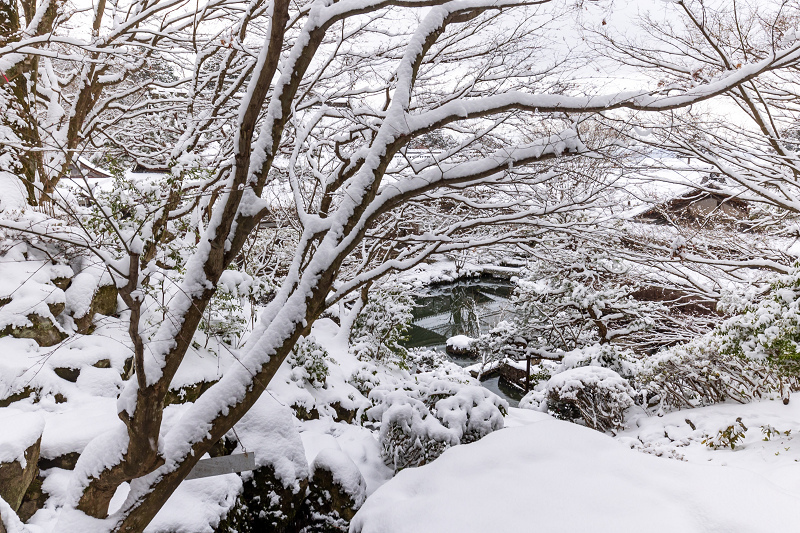 雪の滋賀2021　百済寺・庭園編_f0155048_00082725.jpg